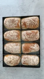 قالب چاپاتا ۳۰*۴۰