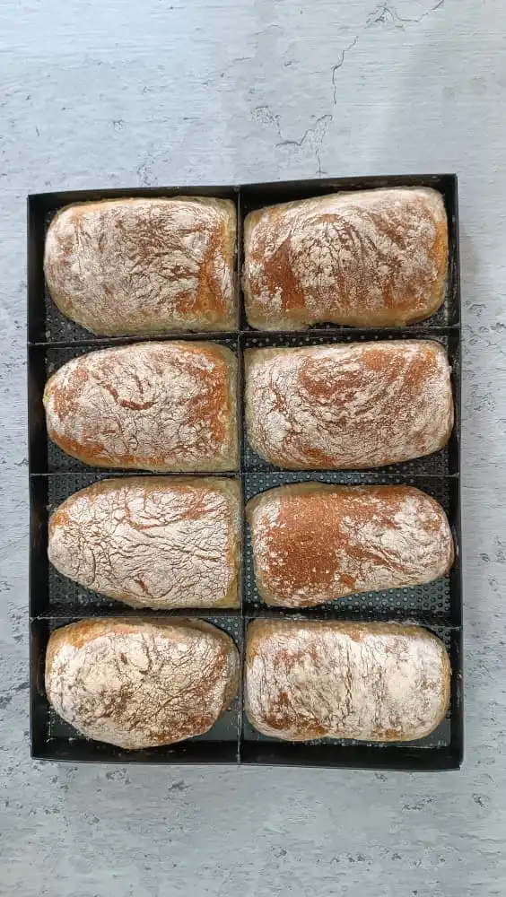 WhatsApp Image 2025-11-12 at 7.29.48 AM قالب چاپاتا ۶۰*۴۰ - Image 1