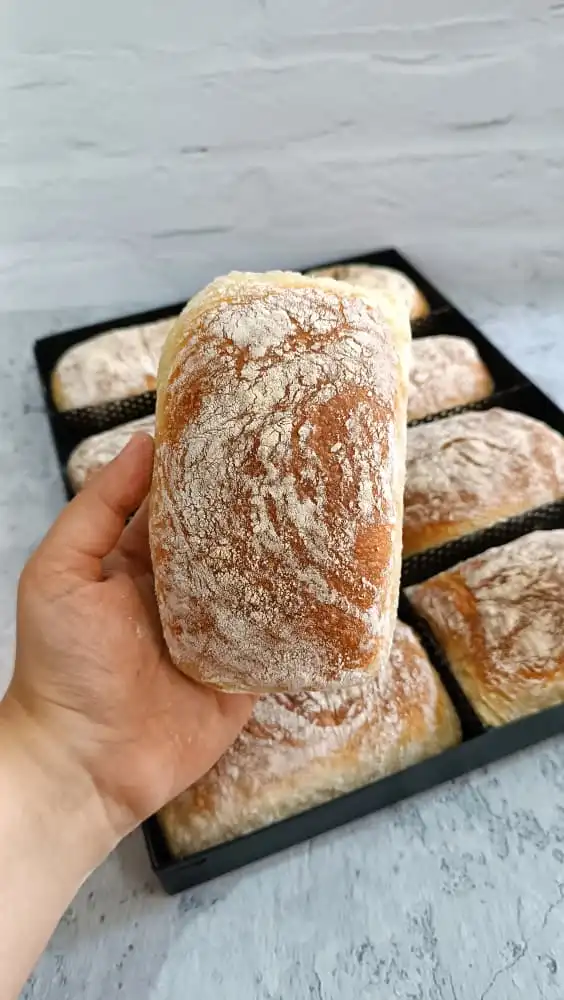 قالب چاپاتا